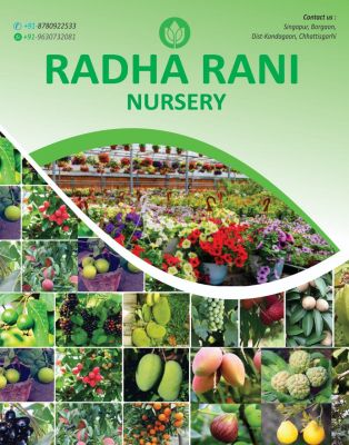 स्मार्ट सिनेमा, मई 2023